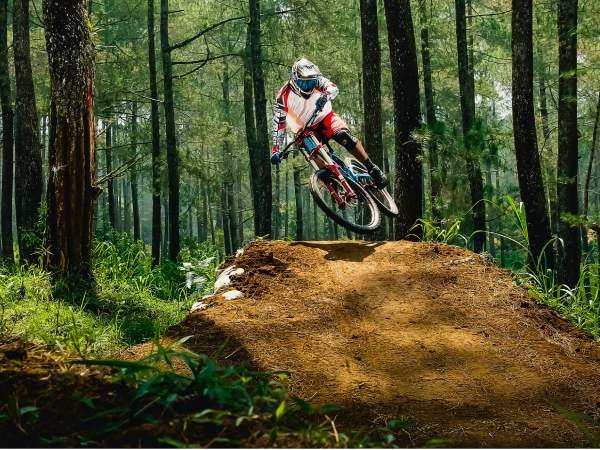 Activities offerd by Arenainternationalholidays 